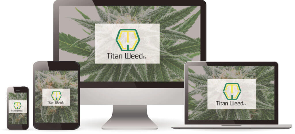 cannabis-creative-web-development-rgb