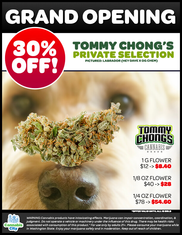 Tommy-chong-flyer-web
